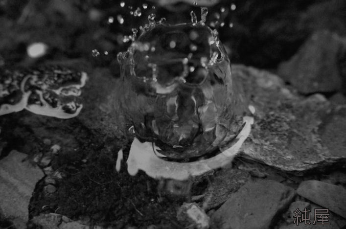 水のかたち