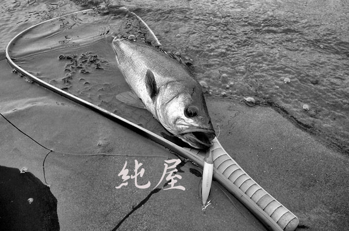 正午の駆け引き