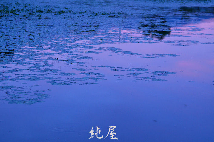 朝に染まる