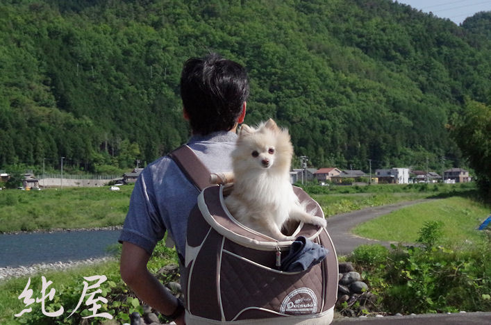 田舎の朝