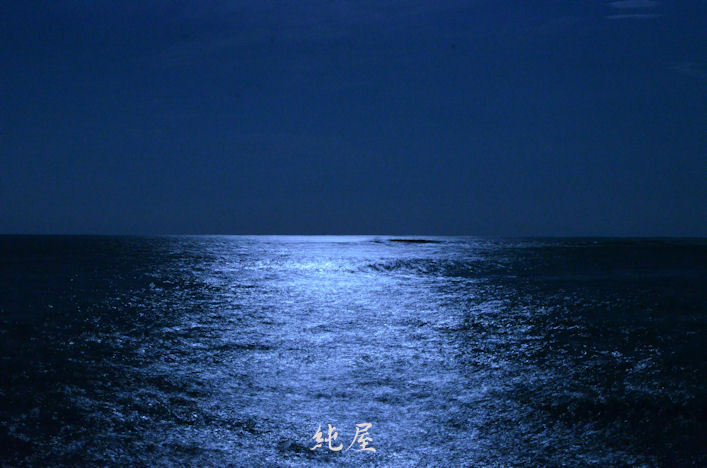 月明かりの海