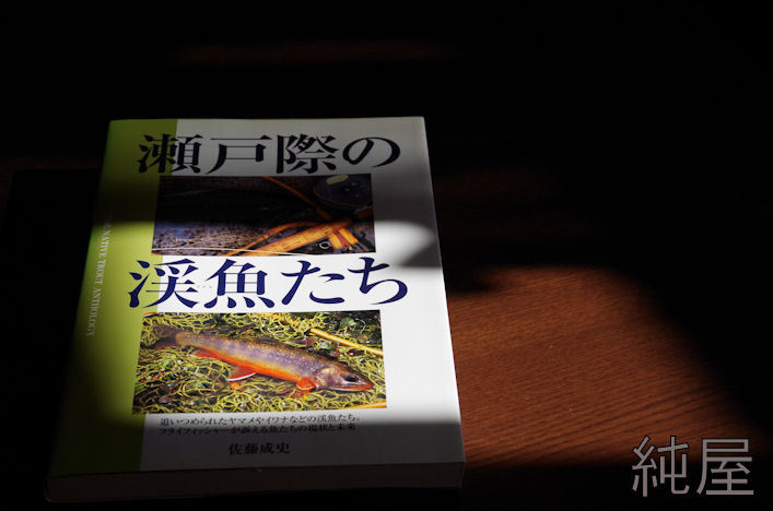 瀬戸際の渓魚