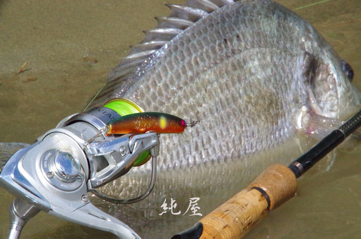 有終の美色