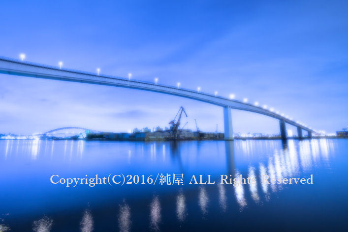 夜撮りその２