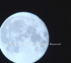 Supermoonの翌日の月