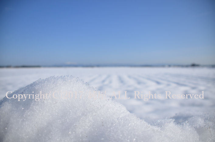 滋賀県 積雪