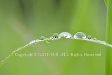 雨の里山