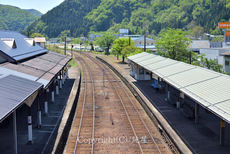 長良川シリーズ