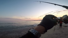 さて…そんな夏休み 2019/08/16 19:17:32
