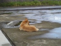 恵みの雨？