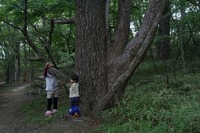 登山の前日の夕飯は。。。お肉控えよう編((・・；)