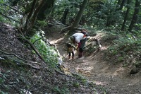 登山の前日の夕飯は。。。お肉控えよう編((・・；)