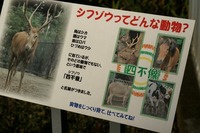 動物園ブログ？？？。。。(~~;)