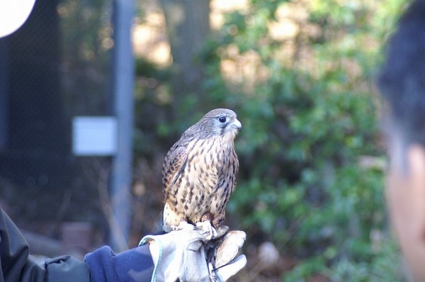 動物園ブログ？？？。。。(~~;)