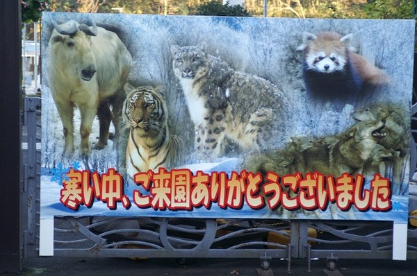 動物園ブログ？？？。。。(~~;)