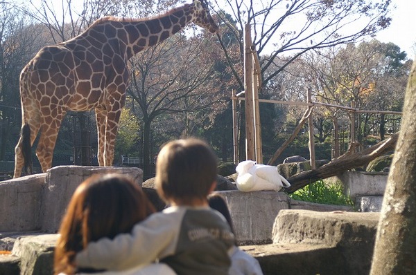 動物園ブログ？？？。。。(~~;)