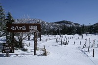 初の雪山登山。。。W/Dのプレゼント(?。?)