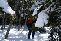 来シーズンも。。。雪山へ(￣▽￣)v