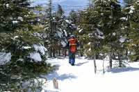 来シーズンも。。。雪山へ(￣▽￣)v