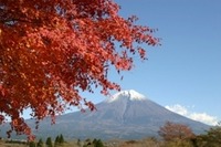 2008/11　秋　田貫湖キャンプ場