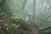 この子達にとっての大岳山。。。(@@)