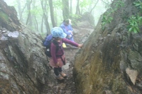 この子達にとっての大岳山。。。(@@)