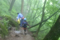 この子達にとっての大岳山。。。(@@)