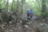 この子達にとっての大岳山。。。(@@)