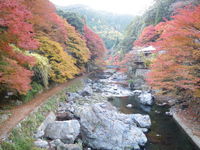 紅葉の秋　京都