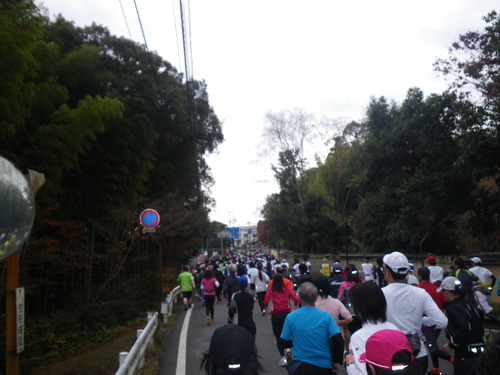 奈良マラソン　２０１１