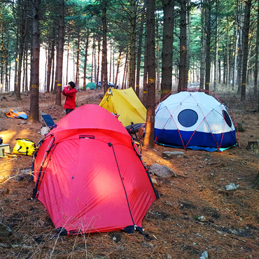 디톡스 캠핑[本文] - detox camping with bros.