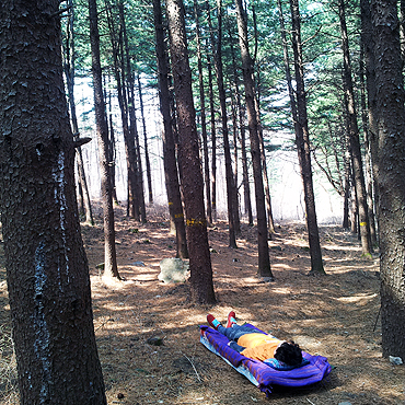 디톡스 캠핑[本文] - detox camping with bros.