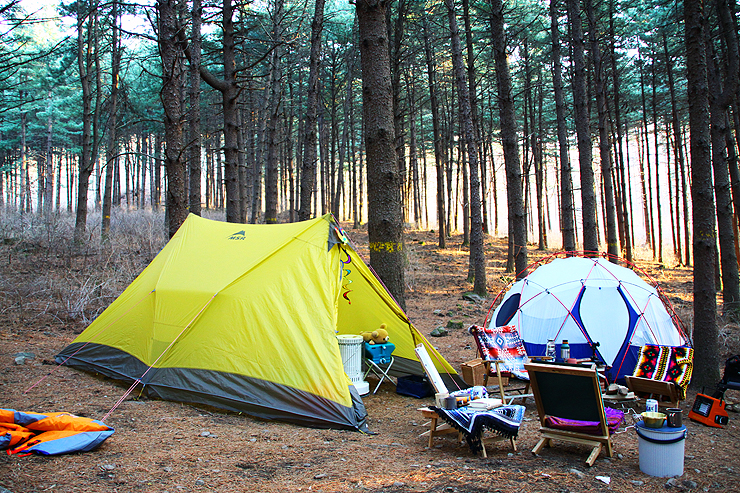 디톡스 캠핑[本文] - detox camping with bros.
