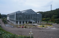 ワンコが沢山集まる相模原公園