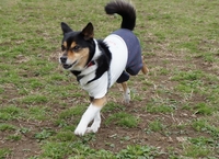 世渡り上手