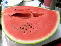 夏にはやっぱりスイカ！ 2006/07/11 18:13:07