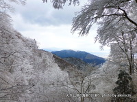 お決まりの金剛山霧氷ハイク