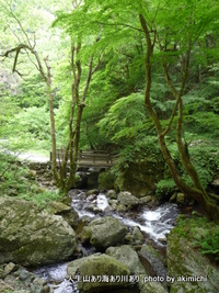 風の聖域でキャンプ（大佐山オートキャンプ場）その２