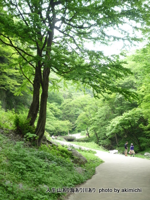 風の聖域でキャンプ（大佐山オートキャンプ場）その２