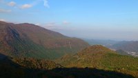 紅葉きれいです 2011/10/28 15:18:14