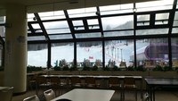 朝食後 2012/02/06 09:12:33