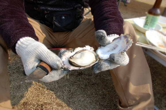 牡蠣を求めて 赤穂海浜デイキャンプ