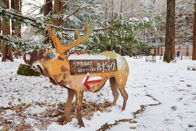 新雪の神戸森林植物園