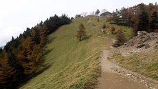 久しぶりにしっかり山歩き！【雲取山：2016/10/21】