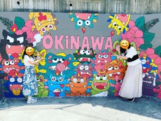 The Okinawa trip