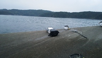 他ジャンル交流 2015/04/30 07:18:32