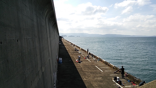 2015 SW釣行１　候補に復活？編