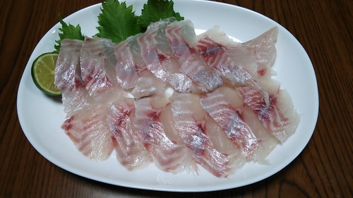 2015 SW釣行１　候補に復活？編