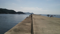 2015 SW釣行３　撃沈コンビ＆親子編 2015/09/24 22:30:56