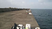 2015年　納釣　までの軌跡 2016/01/01 06:16:53